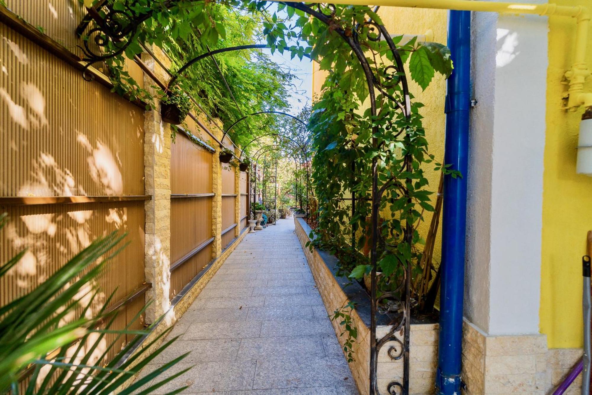 Luxurious Villa With Lush Garden And Huge Terrace Near Herastrau Park Bükreş Dış mekan fotoğraf